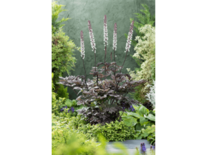 świecznica pink spike (2)