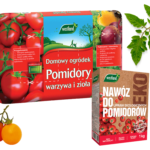 uprawa pomidorów