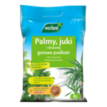 ziemia do palm (1)