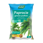 ziemia do paproci
