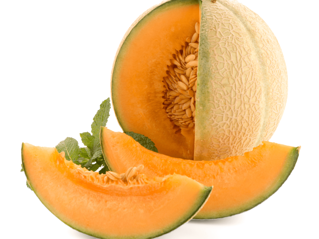 Melon