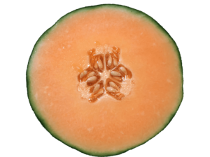 Przekrojony melon