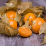 Miechunka peruwiańska