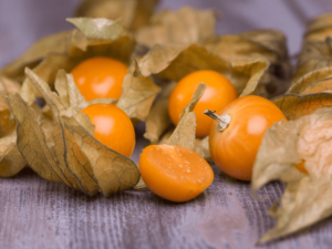 Miechunka peruwiańska