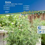 Oregano kreta