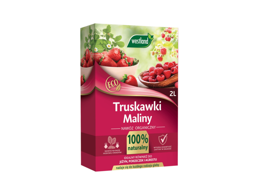 nawóz do truskawek i malin