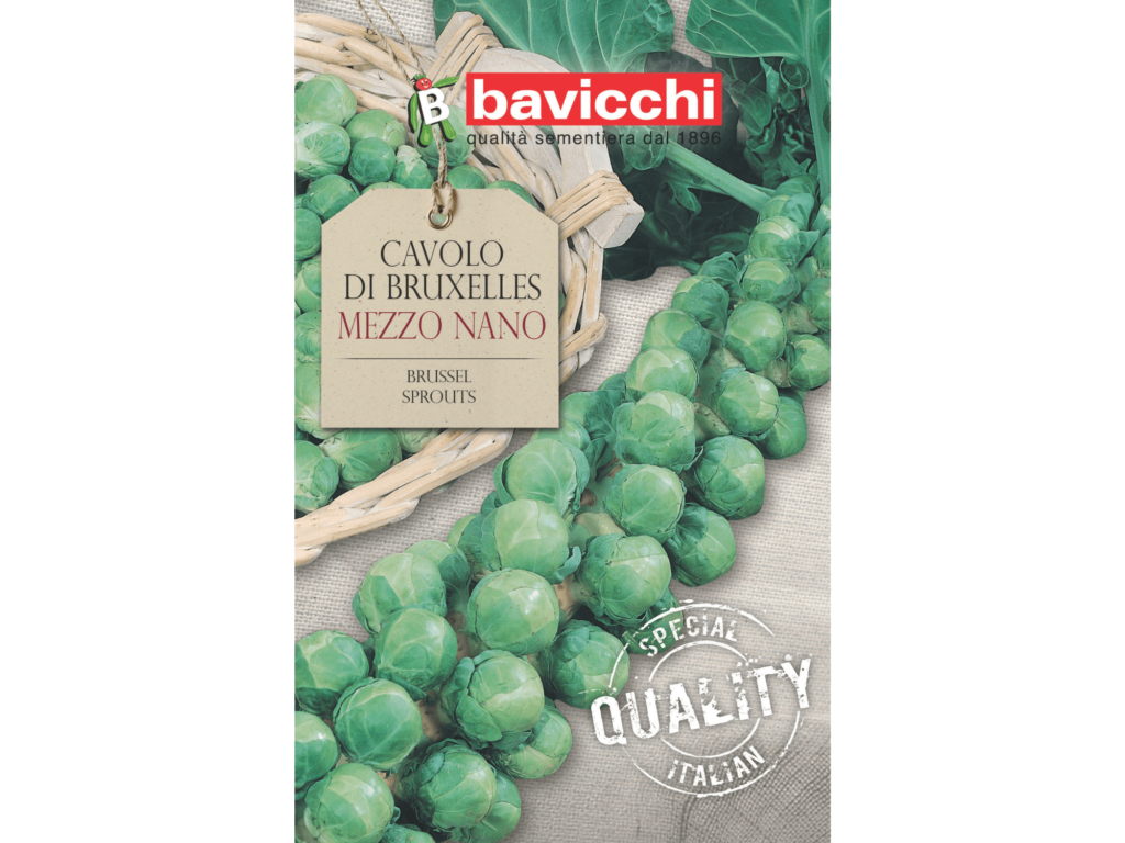 nasiona brukselki Bavicchi