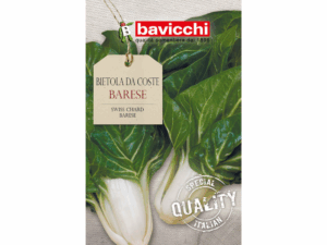 burak liściowy nasiona