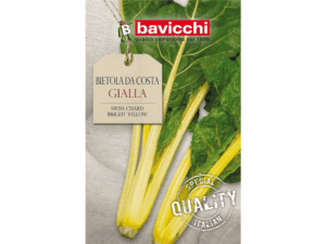 burak liściowy nasiona