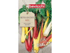 burak liściowy nasiona