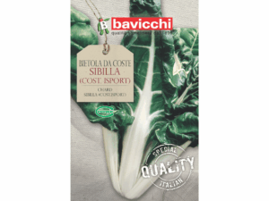 burak liściowy nasiona