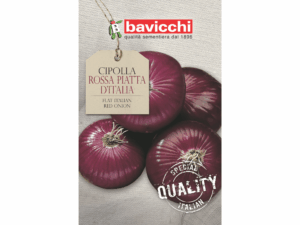 cebula czerwona nasiona