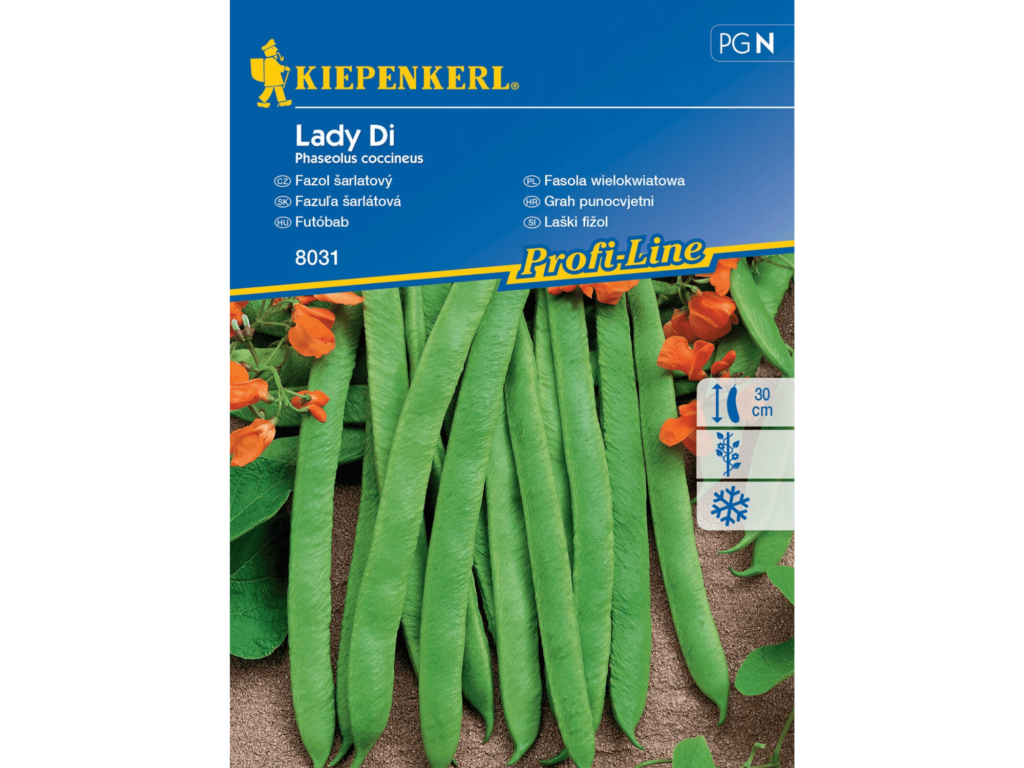 fasola lady di