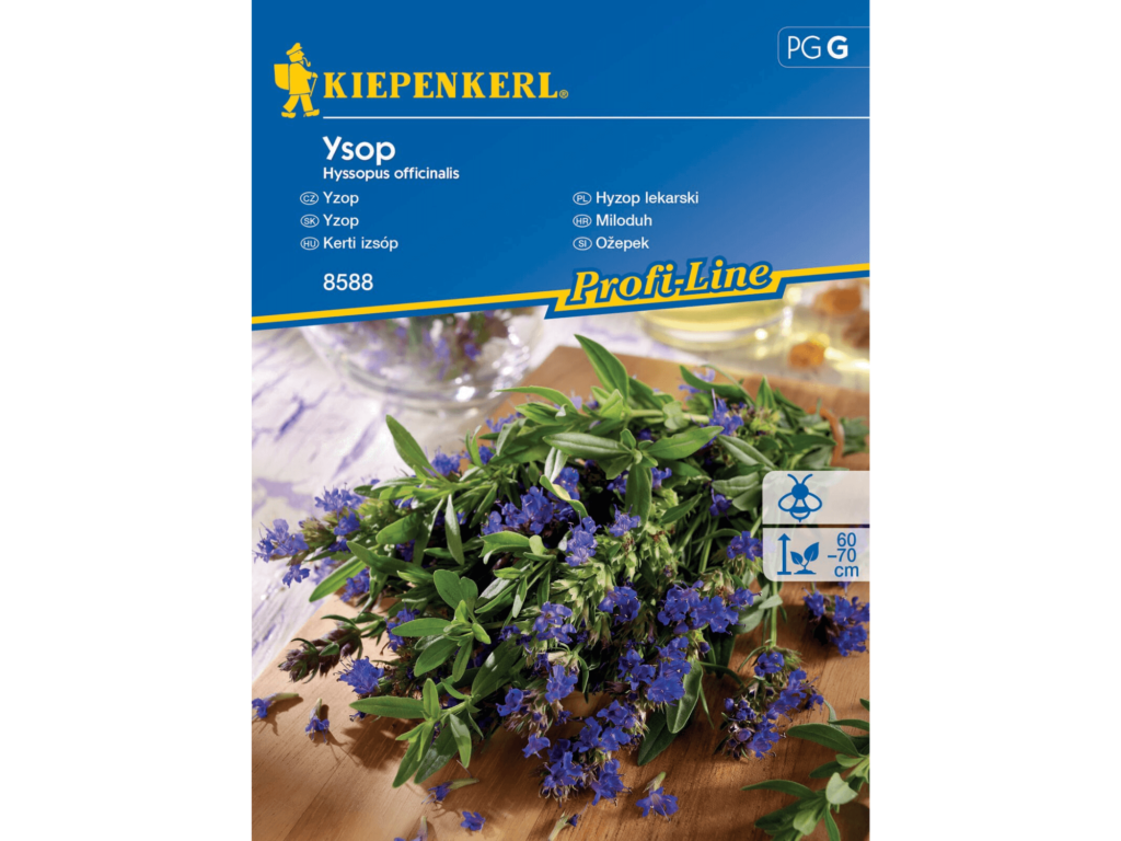 Hyzop lekarski nasiona kiepenkerl