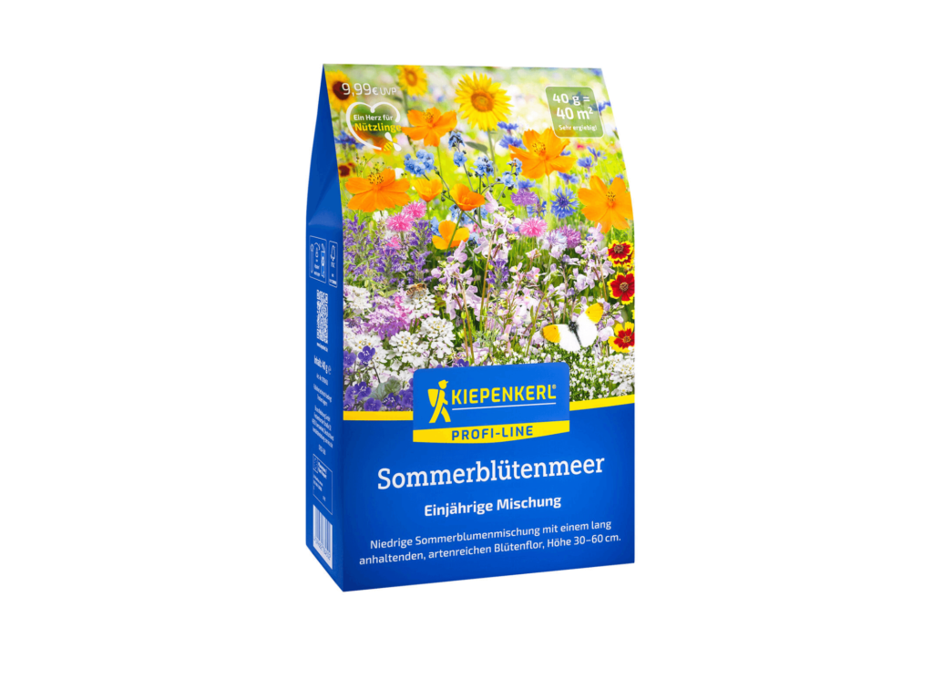 mieszanka kwiatów letnich nasiona