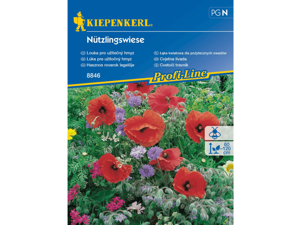 mieszanka kwiatów dla owadów pożytecznych