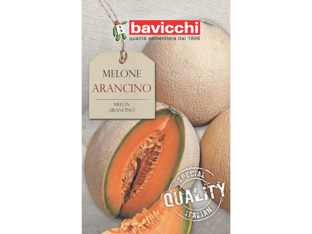 pomarańczowy melon nasiona