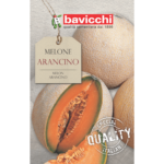 pomarańczowy melon nasiona