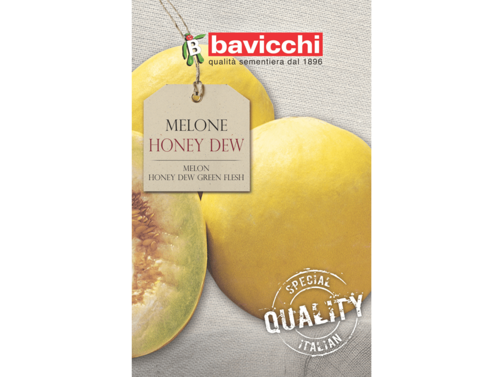 nasiona Bavicchi melon