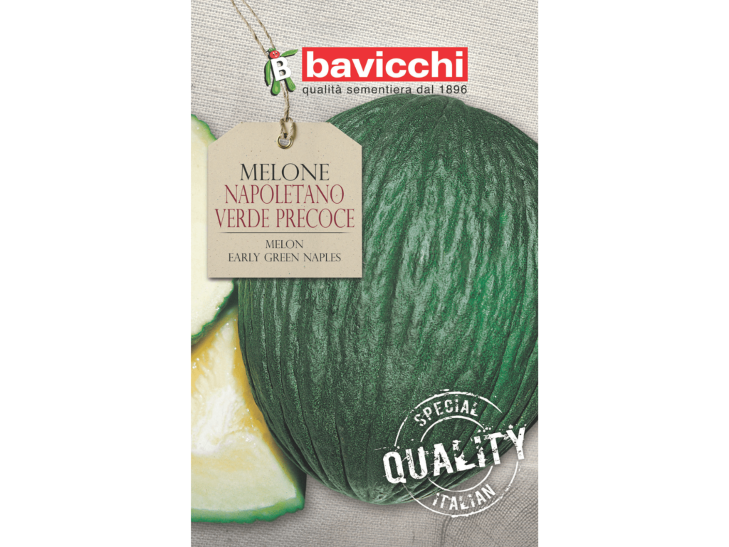 nasiona melona Bavicchi