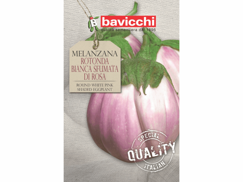 Oberżyna bakłażan 'Sfumata Di Rosa’ – nasiona Bavicchi