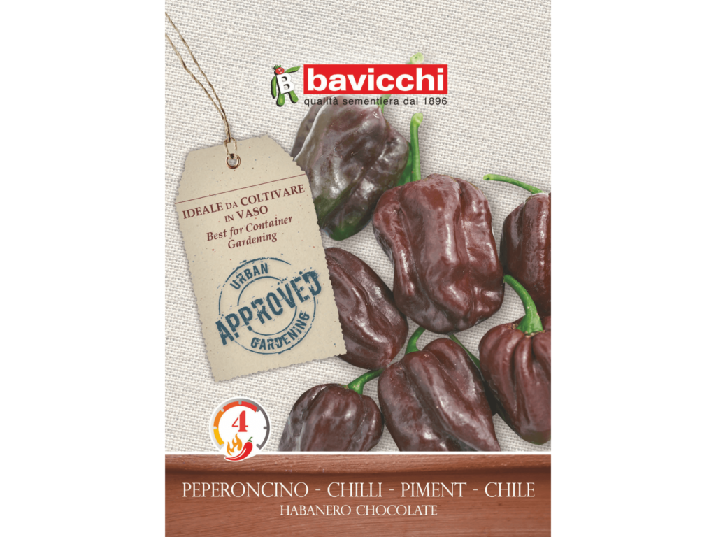papryczka nasiona Bavicchi