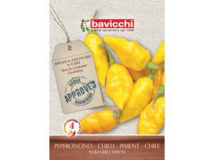 nasiona żółtej papryczki