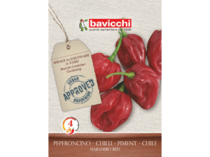 czerwona papryczka nasiona