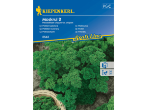 pietruszka naciowa nasiona