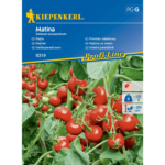 pomidor nasiona Kiepenkerl
