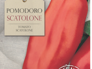 Pomidor Scatolone