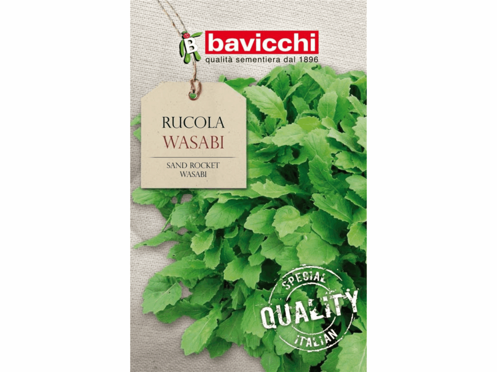 rukola wasabi