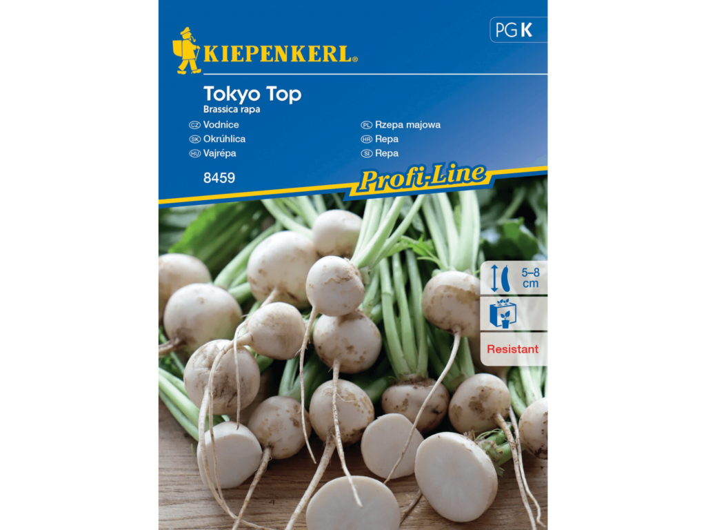 rzepa majowa nasiona