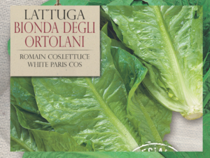 Salata Bionda Degli Ortolani (2)