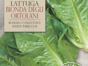 Salata Bionda Degli Ortolani (3)