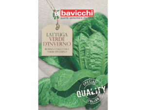 sałata rzymska nasiona