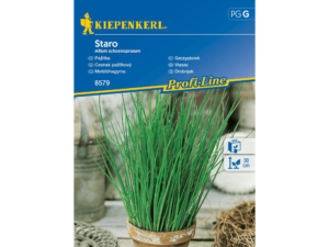 szczypiorek nasiona Kiepnkerl