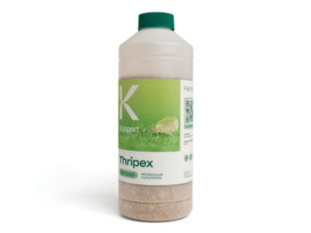 Thripex Koppert