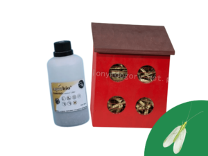 czerwony domek dla owadów