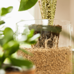 Granuplant