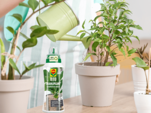 Compo Granuplant nawożenie