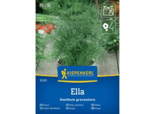Koper doniczkowy ‘Ella’ aromatyczny nasiona Kiepenkerl