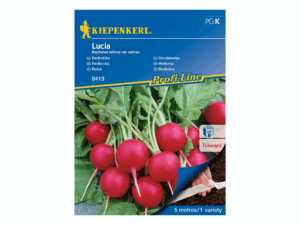 Rzodkiewka ‘Lucia’ czerwona kulista nasiona na taśmie Kiepenkerl