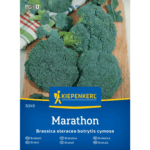 Brokuł Marathon