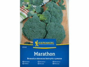Brokuł 'Marathon' F1 nasiona Kiepenkerl
