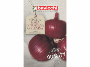 cebula czerwona nasiona