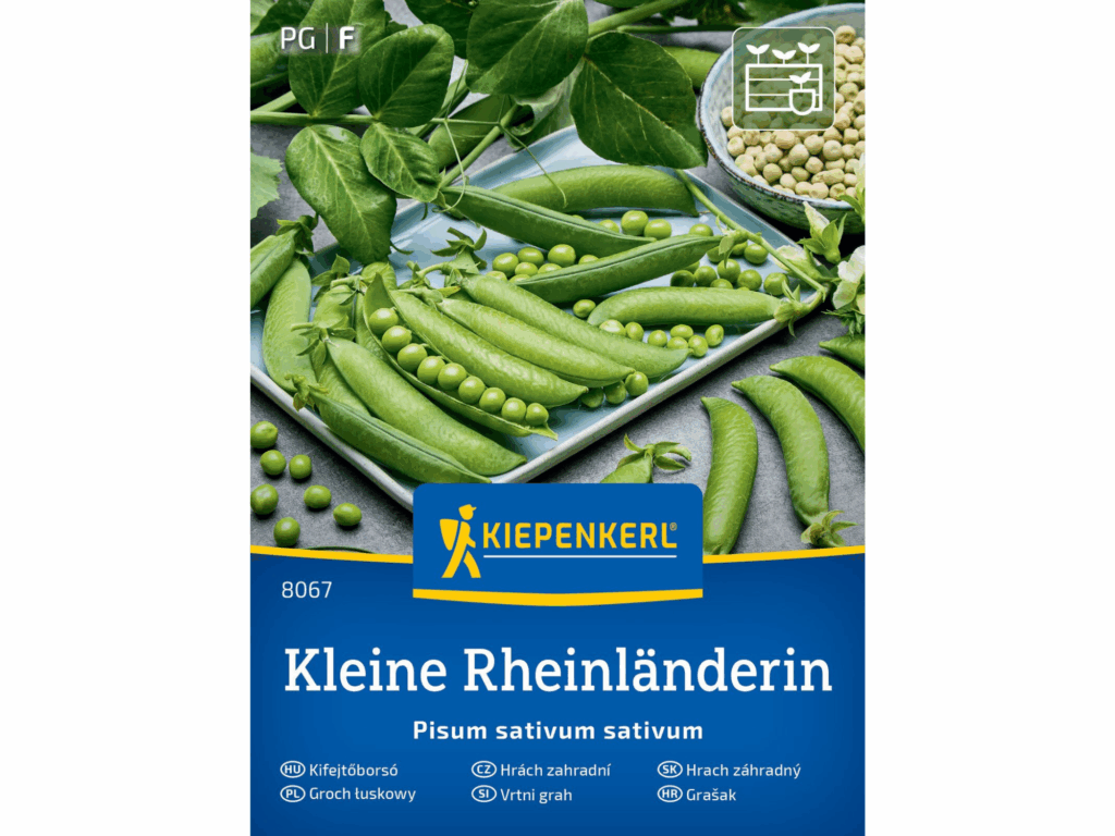 Groch łuskowy 'Kleine Rheinländerin’ nasiona Kiepenkerl