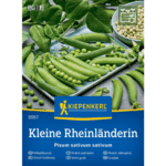 Groch Kleine Rheinländerin