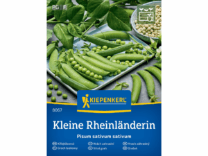 Groch łuskowy 'Kleine Rheinländerin' nasiona Kiepenkerl