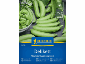 Groch śnieżny 'Delikett' nasiona grochu Kiepenkerl